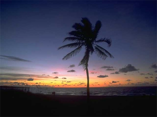 tropical_sunset
